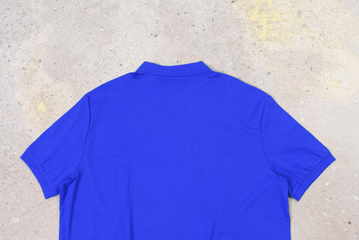 小彩马刺绣 PIMA水柔棉 短袖POLO衫 PT-1062 商品图14