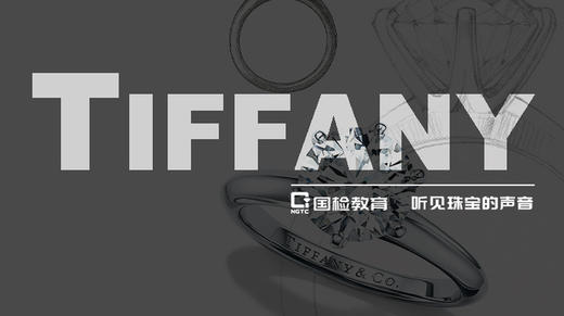 听见珠宝的声音——Tiffany系列 商品图0