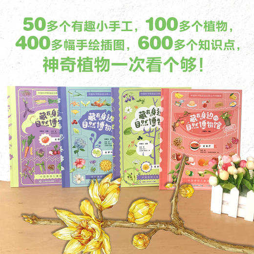 藏在身边的自然博物馆 商品图11