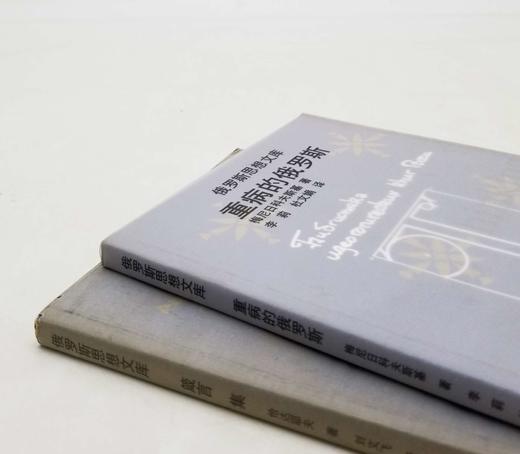 俄罗斯思想文库两种《重病的俄罗斯》《箴言集》，俄罗斯 梅尼日科夫斯基、恰达耶夫著，云南人民出版社1999年一版一印，两册总定价27.2，售价58元，非偏远地区包邮。品相8.5-9成。 商品图1