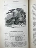 1843年 亚雷尔 英国鸟类史（卷1） 约170幅木版画插图 漆布精装18开 商品缩略图7