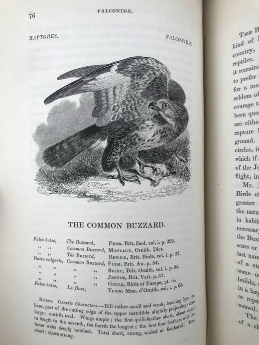 1843年 亚雷尔 英国鸟类史（卷1） 约170幅木版画插图 漆布精装18开 商品图7