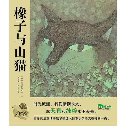 魔法象绘本 橡子与山猫 宫泽贤治/著 2-8岁儿童绘本 商品图1