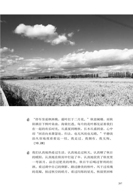 敕勒欢歌【马蹄花香，会唱歌的草】张鹏飞 著  新时代土默川地标性作家新作 商品图9