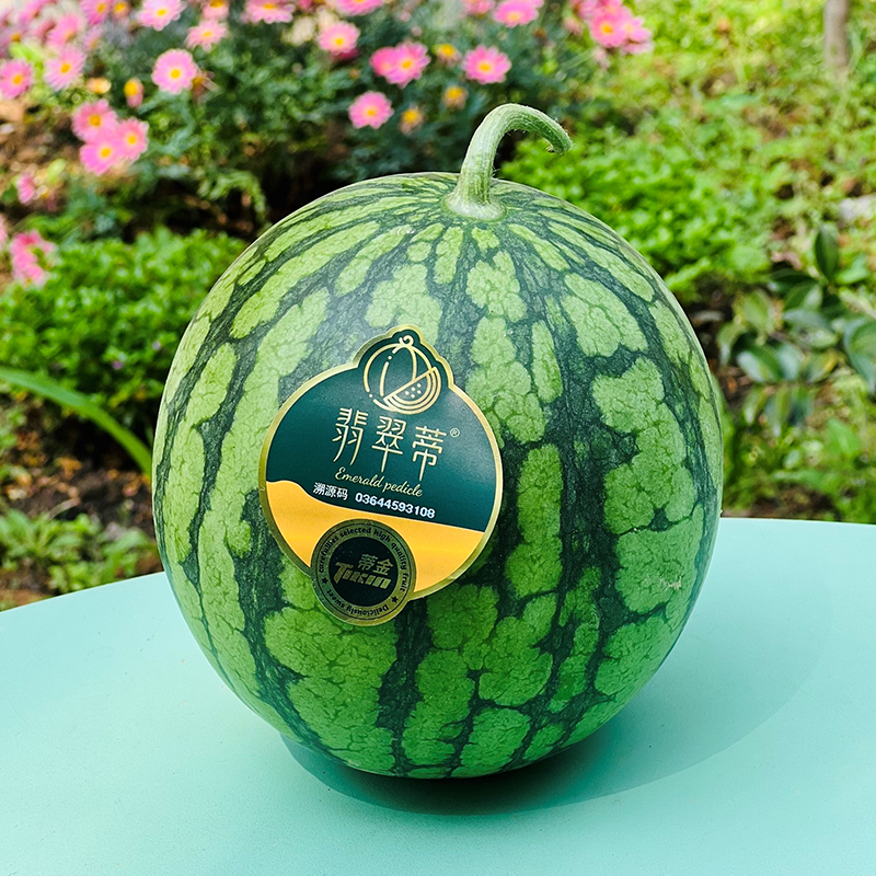翡翠蒂小黄西瓜翡翠蒂家的瓜长得精致气质型味道非常清新淡粉黄瓤酥香