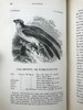 1843年 亚雷尔 英国鸟类史（卷1） 约170幅木版画插图 漆布精装18开 商品缩略图12