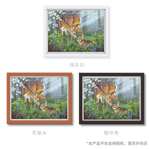 1200片 平面拼图 塑料拼图 H2067 Abraham Hunter-相伴 商品图2