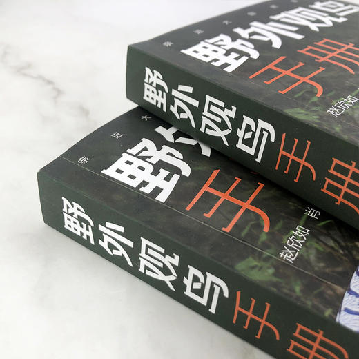 亲近大自然系列--野外观鸟手册（第二版）-分销 商品图3