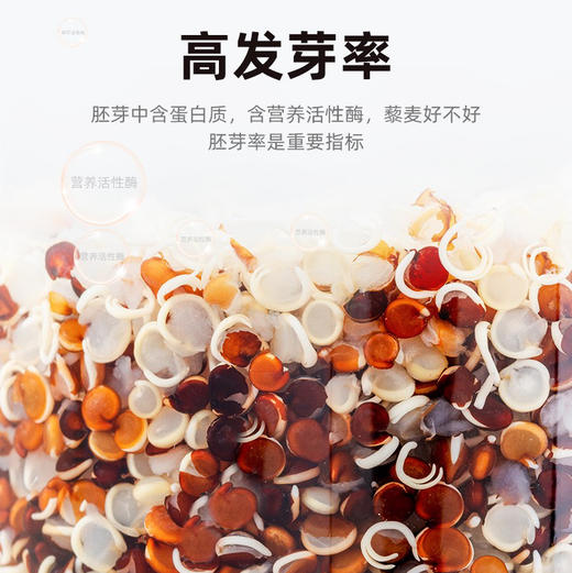 【胡家小猪】瘦身低脂鸡肉藜麦肠508g无防腐剂儿童孕妇包邮 商品图3