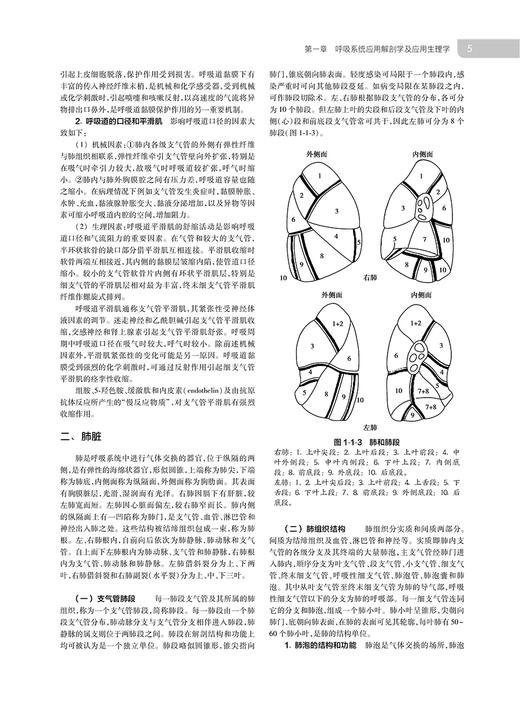 呼吸病学 第3版 陈荣昌 钟南山 刘又宁 主编 呼吸内科学书籍 临床新进展诊治新技术国际新标准 人民卫生出版社9787117319065 商品图3