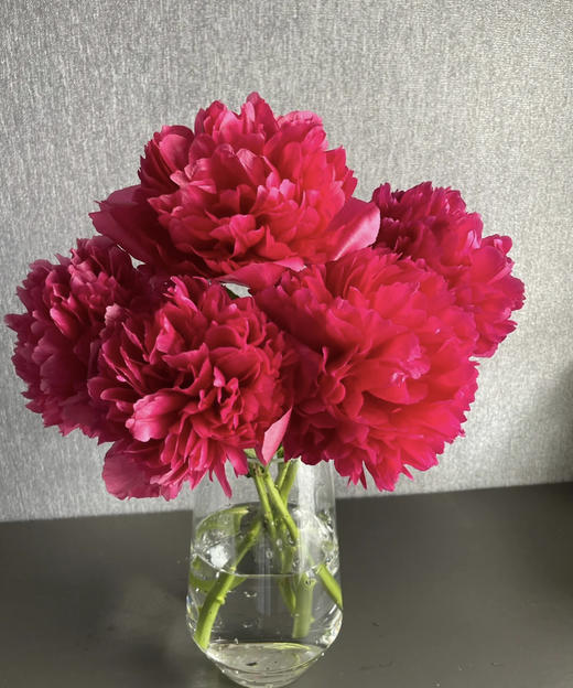 【自由热烈】芍药 -御前表演  5枝（会变色） 商品图2