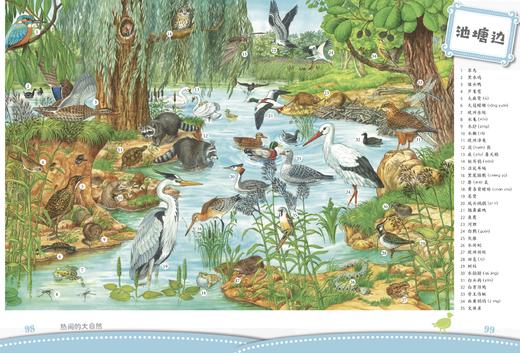 自然·认知·儿童动物故事集(拼音版，3~10岁) 商品图4
