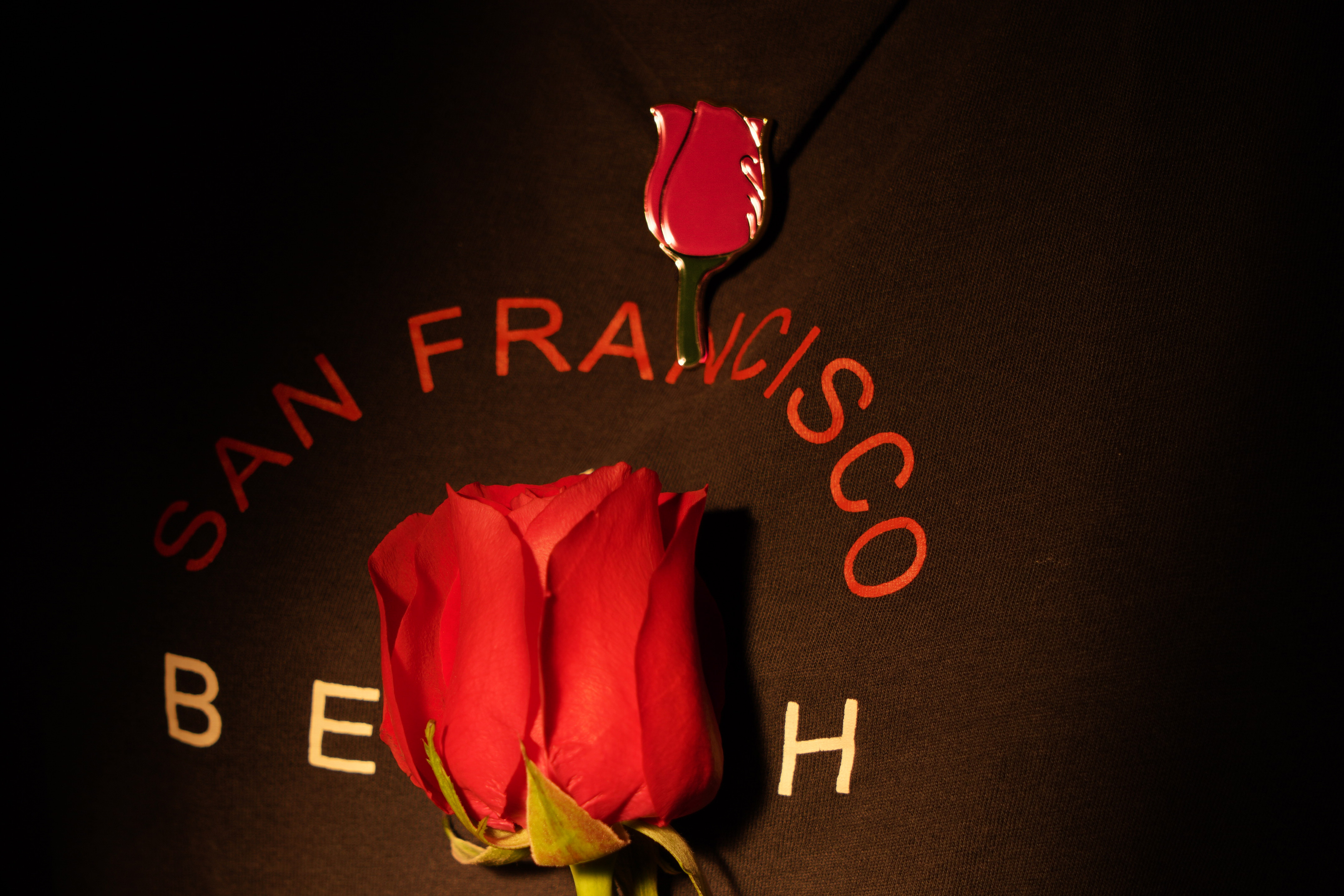 教父经典玫瑰花胸针独家定制商品详情微信支付银行卡支付宝支付:立即