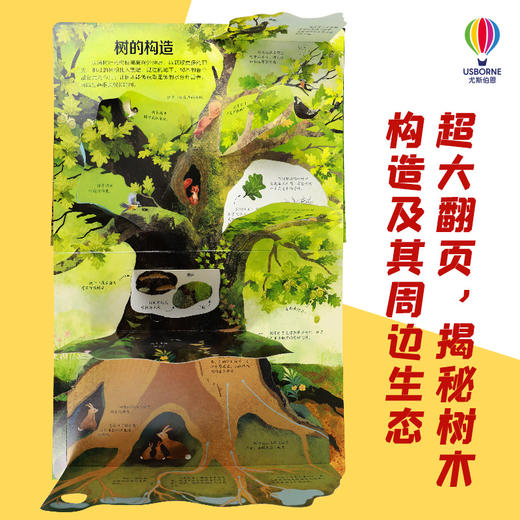 揭秘树木 商品图1
