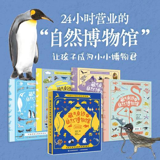 藏在身边的自然博物馆 商品图2