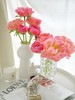 【落日珊瑚芍药】5支/份 买2份减10元 长约45-50cm 商品缩略图6