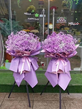 开业乔迁庆典满天星花篮6选1含配送