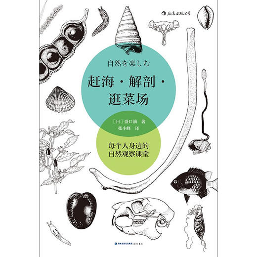 赶海 解剖 逛菜场 盛口满 著 自然观察随笔集 生物学动物学植物学野外调查科学教育书籍 商品图2