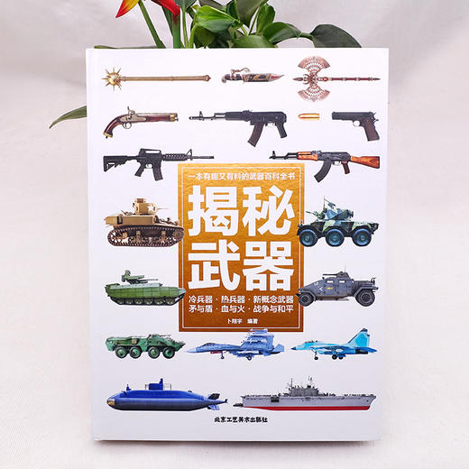 揭秘武器 商品图2