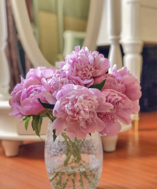 【爱你如初】芍药 - 蓝富士 桃粉色 10枝/扎 商品图8