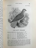 1843年 亚雷尔 英国鸟类史（卷1） 约170幅木版画插图 漆布精装18开 商品缩略图6