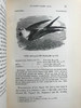 1843年 亚雷尔 英国鸟类史（卷1） 约170幅木版画插图 漆布精装18开 商品缩略图8