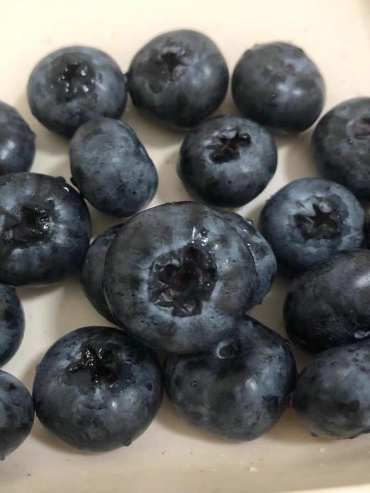 云南 怡颗蓝莓 【1盒】 商品图2