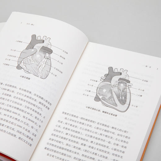 打开一颗心：一位心外科医生手术台前的生死故事（新版）纪实系列 商品图6