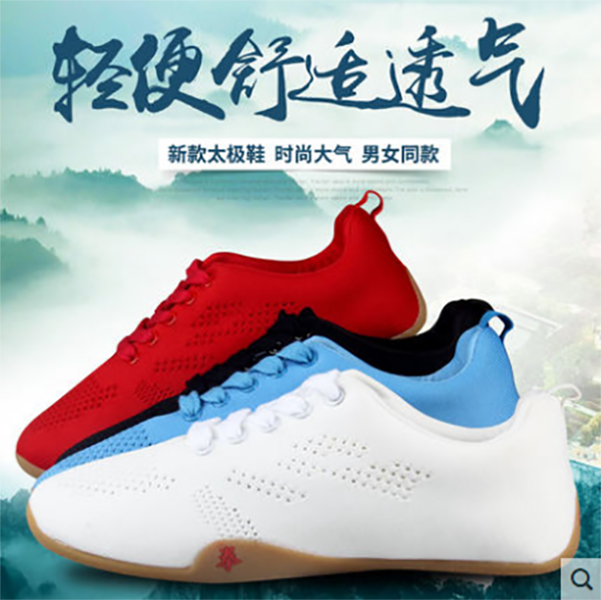 帆布女夏季透气武术鞋练功鞋男飞织网布中国风太极鞋FZ