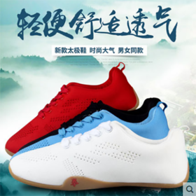 帆布女夏季透气武术鞋练功鞋男飞织网布中国风太极鞋FZ
