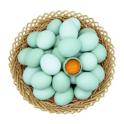【云屏林草鸡】绿壳乌鸡蛋50枚/箱 商品图4