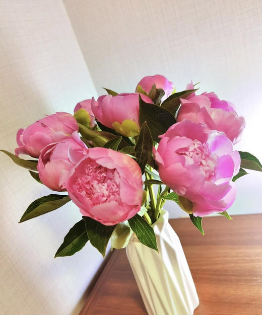 【爱你如初】芍药 - 蓝富士 桃粉色 10枝/扎 商品图4