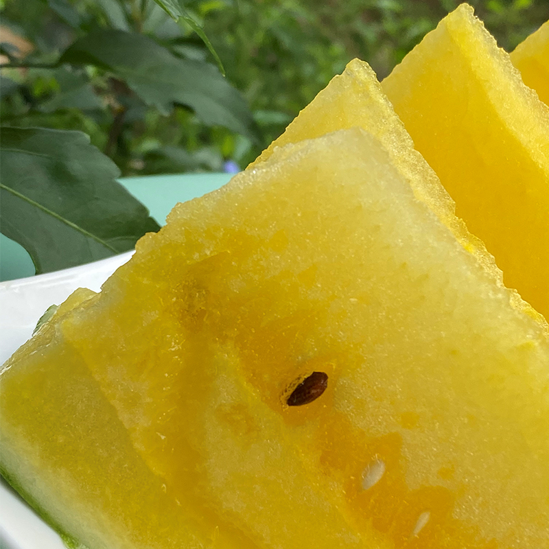 翡翠蒂小黄西瓜翡翠蒂家的瓜长得精致气质型味道非常清新淡粉黄瓤酥香