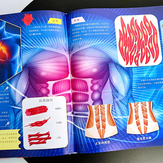 【3-12岁】《儿童百科全书系列》（全8册）儿童探索揭秘的宝库  太空+揭秘武器+数学+人体+地球+探秘地理+宇宙+恐龙 商品图2