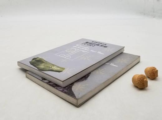 俄罗斯思想文库两种《重病的俄罗斯》《箴言集》，俄罗斯 梅尼日科夫斯基、恰达耶夫著，云南人民出版社1999年一版一印，两册总定价27.2，售价58元，非偏远地区包邮。品相8.5-9成。 商品图2