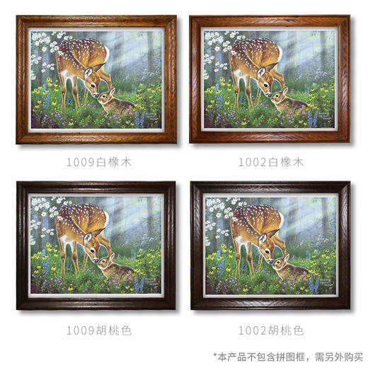 1200片 平面拼图 塑料拼图 H2067 Abraham Hunter-相伴 商品图3