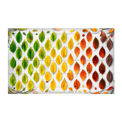 【折扣商品 不退不换】1000片 平面拼图 塑料拼图 H2005 叶的四季 商品图0