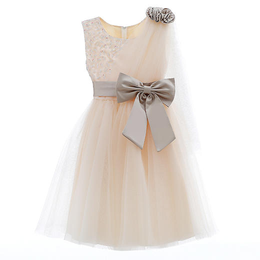 新款韩版洋气小女孩蓬蓬纱裙儿童礼服 DY8188 商品图4