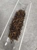 祁门红茶新茶
极品祁眉/明前金针200g 商品缩略图4