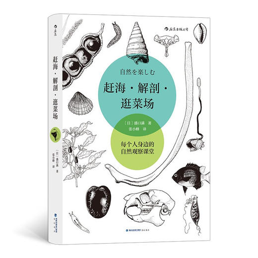 赶海 解剖 逛菜场 盛口满 著 自然观察随笔集 生物学动物学植物学野外调查科学教育书籍 商品图1