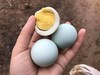 【云屏林草鸡】绿壳鸡蛋60枚/箱 商品缩略图3