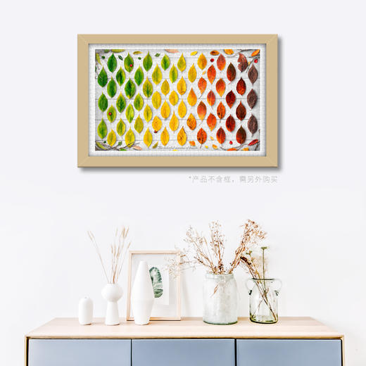 【折扣商品 不退不换】1000片 平面拼图 塑料拼图 H2005 叶的四季 商品图1