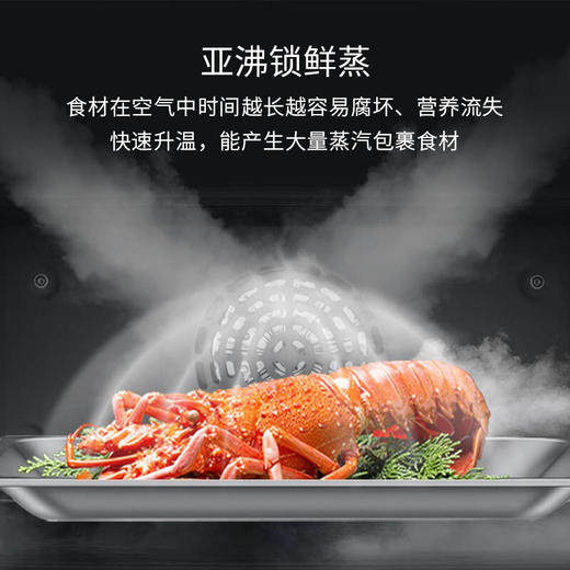 西门子蒸烤箱一体机嵌入式原装进口彩屏蒸汽烤箱蒸箱烤箱二合一 47升大容量搪瓷内腔	CS636GBS1W 商品图5