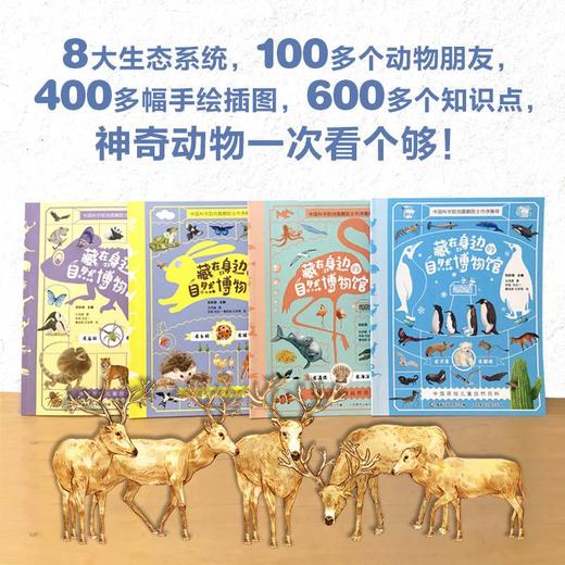 藏在身边的自然博物馆 商品图10