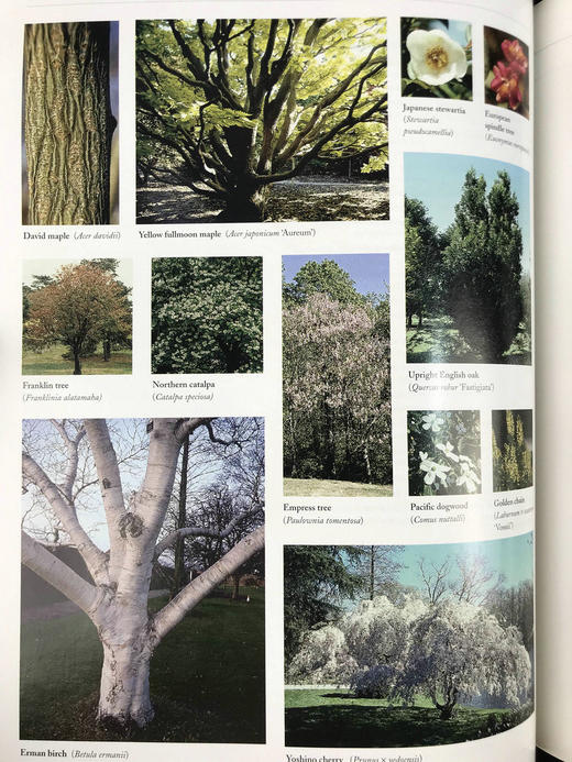 美国园林之书 数千幅插图 精装16开 商品图8