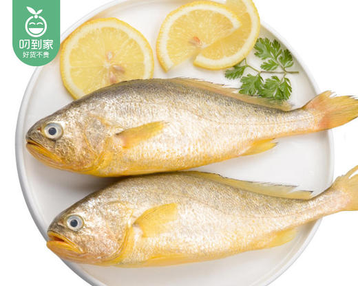 宁德三去黄花鱼（325g±25g/份 2条） 商品图3