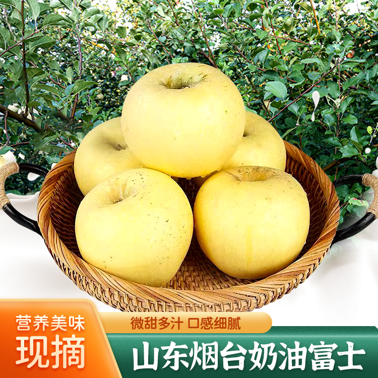 山东烟台奶油富士（黄苹果）带箱4.5斤左右