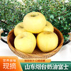 山东烟台奶油富士（黄苹果）带箱4.5斤左右 商品缩略图0