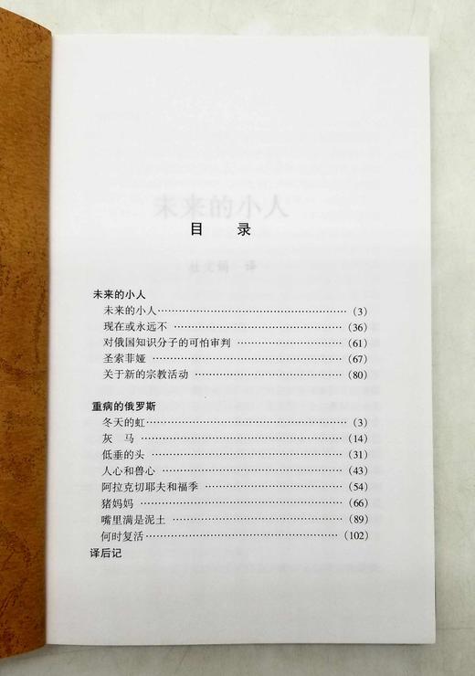 俄罗斯思想文库两种《重病的俄罗斯》《箴言集》，俄罗斯 梅尼日科夫斯基、恰达耶夫著，云南人民出版社1999年一版一印，两册总定价27.2，售价58元，非偏远地区包邮。品相8.5-9成。 商品图5