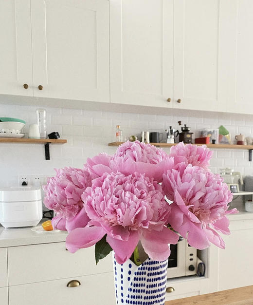 【爱你如初】芍药 - 蓝富士 桃粉色 10枝/扎 商品图7